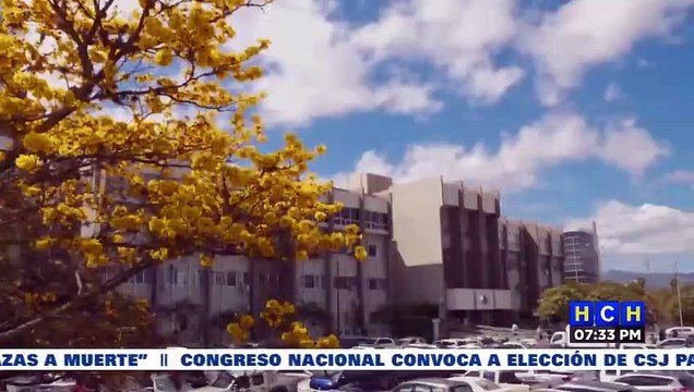 Diputados de Libre y del Partido Nacional adelantan que mañana se elegirían 10 magistrados