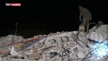 Mehmetçik arama-kurtarma köpekleriyle deprem bölgesinde