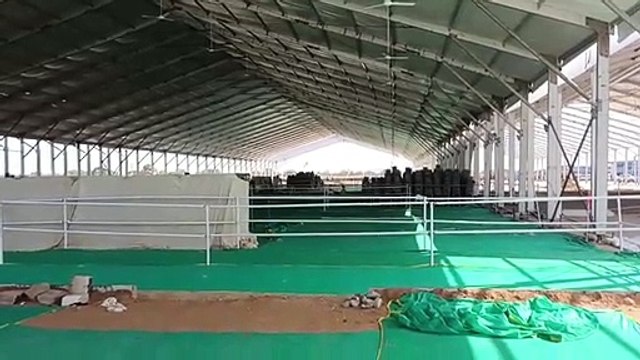 dausa... भाजपा नेता राजेंद्र राठौड़ व किरोड़ीलाल पहुंचे धनावड़