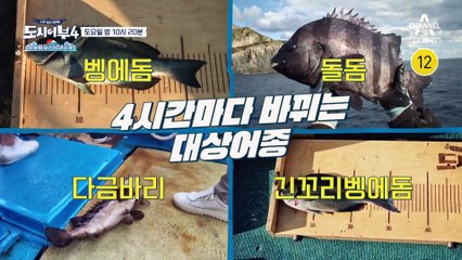 [예고] ♨도시어부 역대급 대물 등장♨ 경규에게 찾아온 엄청난 대물의 정체는?