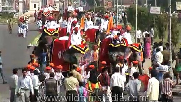 Decorated elephants parade at the Jaipur Elephant Festival a midst Holi fervor!