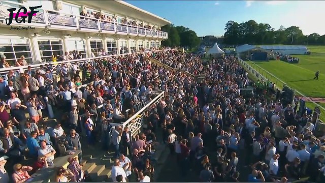 Greyhound sports racing - Track race