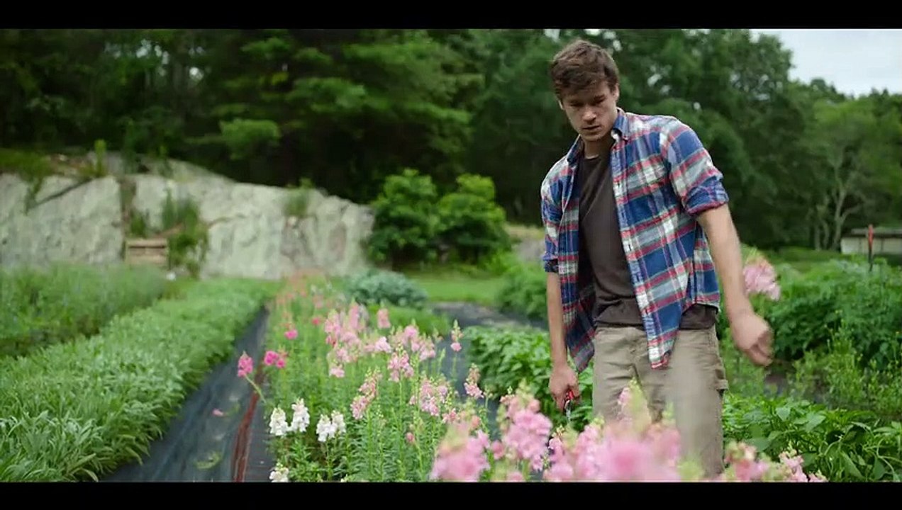 Space Oddity Trailer OV