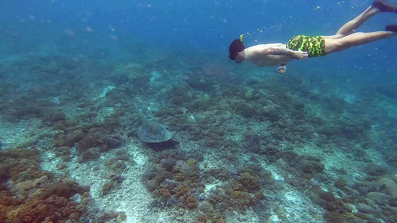 snorkeling gili trawangan