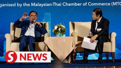 Download Video: Anwar revisits idea of Asian Monetary Fund