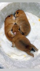 Quand tu veux te faire une place dans la vie