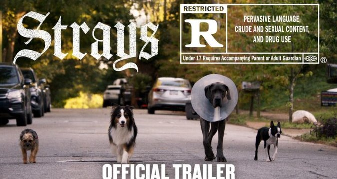 Strays - Official Trailer - 2023 - Comedy, Dogs, Will Ferrell, Jamie Foxx, Will Forte