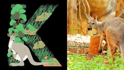 Learn the Alphabet A to Z with Fun Animated Characters