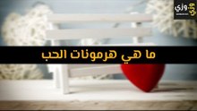 أهم ما هي هرمونات الحب