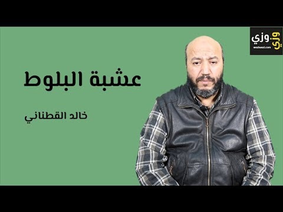 فوائد ثمرة البلوط للجسم