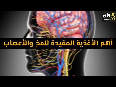 أهم الأغذية المفيدة للمخ والأعصاب