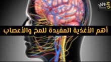 أهم الأغذية المفيدة للمخ والأعصاب