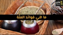 أهم ما هي فوائد المتّة
