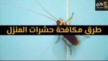 أهم طرق مكافحة حشرات المنزل