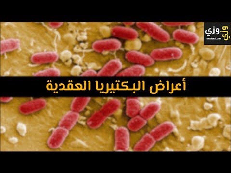 أهم أعراض البكتيريا العقدية