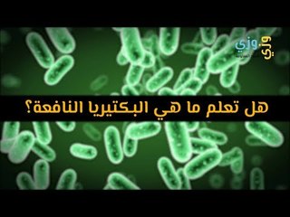 أهم هل تعلم ما هي البكتيريا النافعة