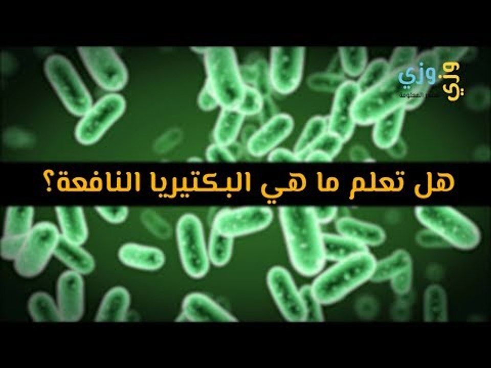 أهم هل تعلم ما هي البكتيريا النافعة