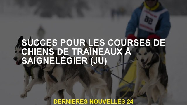 Succès pour les courses pour chiens stagiaires à SigneLegier