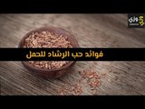 أهم فوائد حب الرشاد للحمل