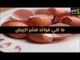 أهم  فوائد قشر البيض