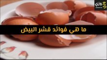 أهم  فوائد قشر البيض