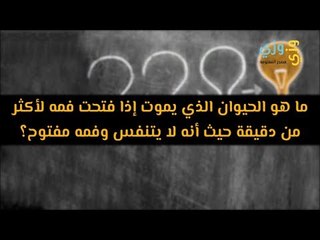 ما هو الحيوان الذي يموت إذا فتح فمه؟