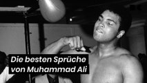 Die besten Sprüche von Muhammad Ali