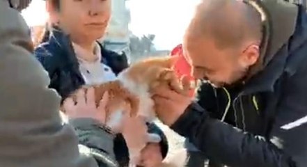 Enkazdan çıkarılan hayvanlar için sahra çadırı