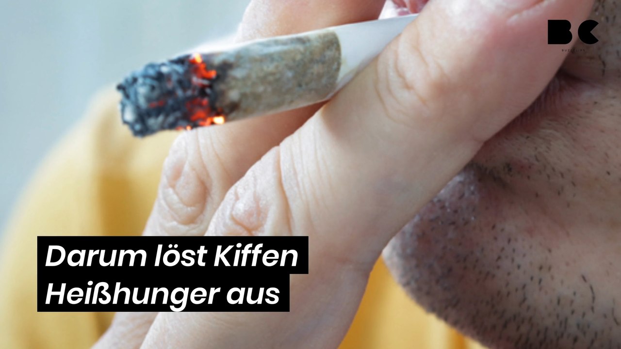 Darum löst Kiffen Heißhunger aus