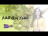 أضرار ورق الغار