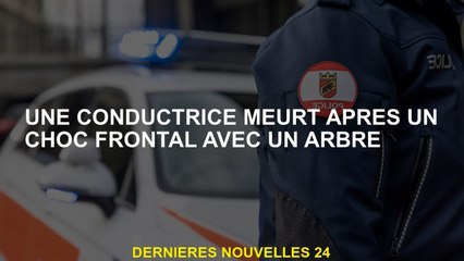 Un conducteur meurt après un choc frontal avec un arbre