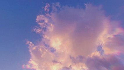 Franzi Harmsen - Glücklichster Mensch