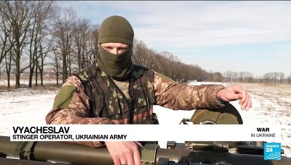 Military aid to Ukraine: 'Stingers' are helpful but Kyiv wants heavier air defence