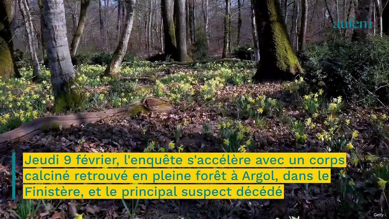 Disparition d'Héléna : "Il faudra chercher l'assassin si ce n'est pas lui", le mystère n'est pas résolu
