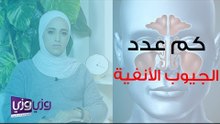 كم عدد الجيوب الأنفية