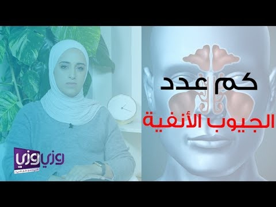 كم عدد الجيوب الأنفية