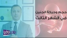 حجم الجنين في الشهر الثالث وحركته والمتاعب المرافقة لذلك
