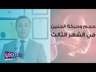 حجم الجنين في الشهر الثالث وحركته والمتاعب المرافقة لذلك