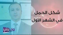 الحمل في الشهر الأول ومتاعبه