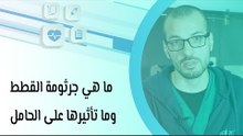 ما هي جرثومة القطط وما تأثيرها على الحامل