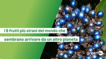 I 6 frutti più strani del mondo che sembrano arrivare da un altro pianeta