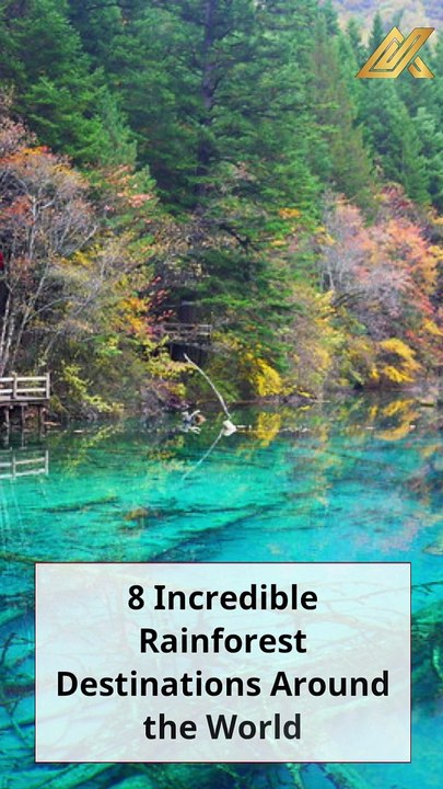 8 Incredible Rainforest Destinations Around the World #shorts #shortsfeed