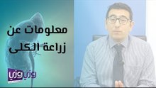 معلومات عن عملية زراعة الكلى