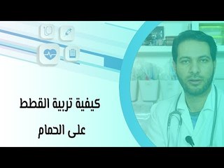 كيفية تربية القطط على الحمام