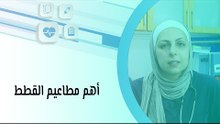 أهم مطاعيم القطط