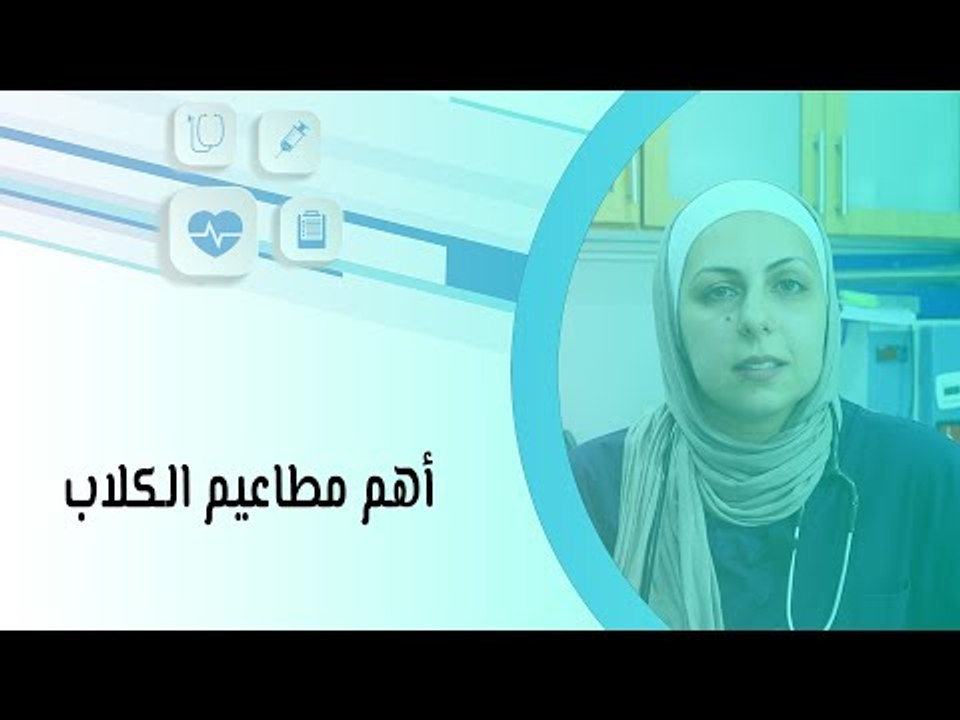 أهم مطاعيم الكلاب