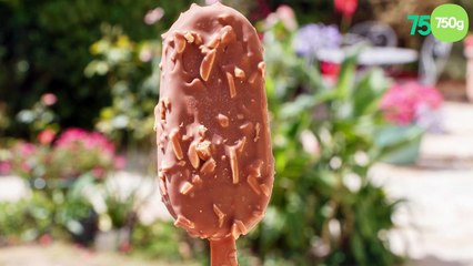 Bâtonnets healthy magnum de tiktok