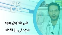 على ماذا يدل وجود الدود في براز القطط