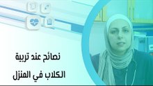 نصائح عند تربية الكلاب في المنزل