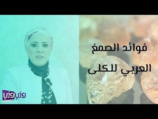 فوائد الصمغ العربي للكلى